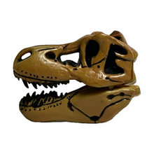 Cargar imagen en el visor de la galería, Tyrannosaurus - Trading Figure - Miniature (023)
