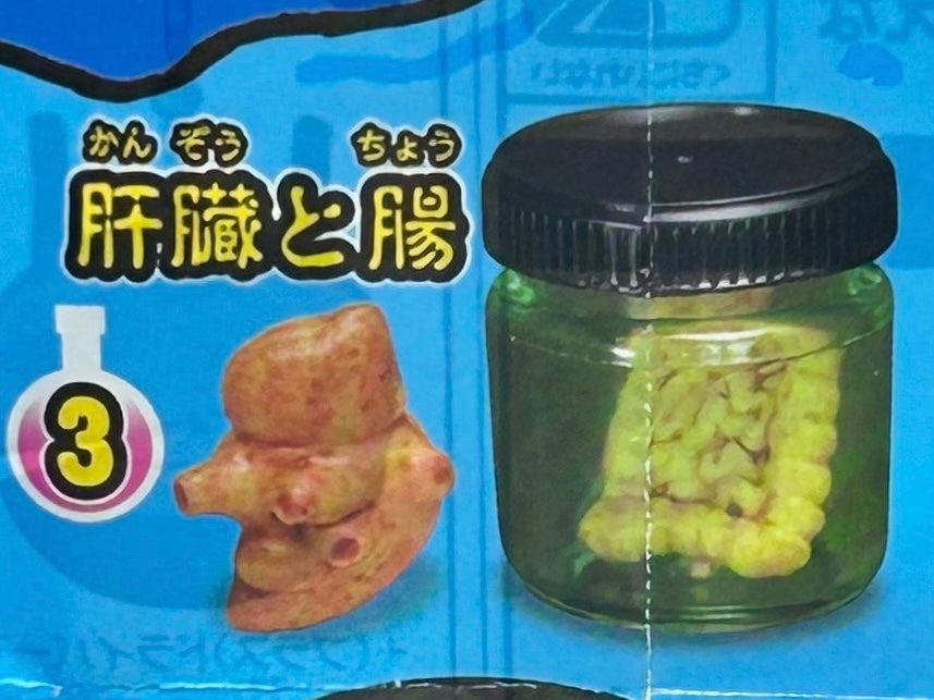3. Liver and Intestines - Terrifying specimens and glowing experiment tables