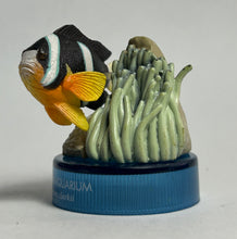 Cargar imagen en el visor de la galería, Clark's anemonefish / Amphiprion clarkii - Mini Figure - Bottle Cap
