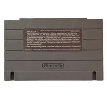 Cargar imagen en el visor de la galería, We’re back! A Dinosaur Story - Super Nintendo - SNES - NTSC-US - Cart (SNS-6D-USA)
