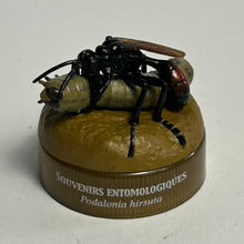 Load image into Gallery viewer, Wasp (Podalonia hirsuta) - Mini Figure - Bottle Cap
