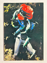 Cargar imagen en el visor de la galería, Kamen Rider - Bararanga - Trading Card - No. 257A
