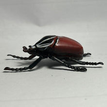 Cargar imagen en el visor de la galería, Goliath beetle - Trading Figure - Miniature (26)
