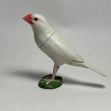 Cargar imagen en el visor de la galería, Java sparrow - Trading Figure - Miniature (005)
