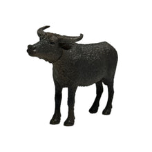 Load image into Gallery viewer, Wildlife of the World: Asia &amp; Oceania Edition (Set of 9)
