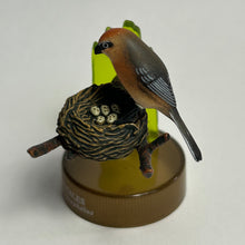 Cargar imagen en el visor de la galería, Bull-headed Shrike (Lanius bucephalus) - Mini Figure - Bottle Cap
