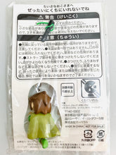 Cargar imagen en el visor de la galería, PoPoLoCRoIS Bokujou Monogatari - Pietro PakaPuka - Strap

