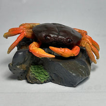 Load image into Gallery viewer, Sawagani / Freshwater Crab - Trading Figure - Minifigure

