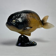Cargar imagen en el visor de la galería, Ranchu - Trading Figure - Miniature - 019 P10-A
