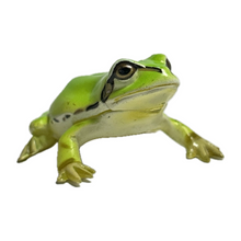 Load image into Gallery viewer, Japanese Tree Frog - Trading Figure - Miniature - 018C
