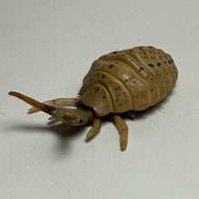 Load image into Gallery viewer, Antlion (Larva) - Trading Figure - Miniature (078)
