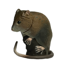 Load image into Gallery viewer, Ryukyu Spiny rat - Trading Figure - Miniature - 143
