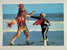 Cargar imagen en el visor de la galería, Kamen Rider - One-on-one Battle with Anemone Jaguar - Trading Card - No. 338
