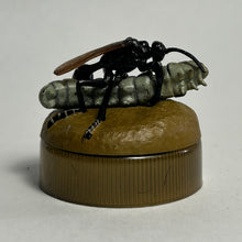 Load image into Gallery viewer, Wasp (Podalonia hirsuta) - Mini Figure - Bottle Cap
