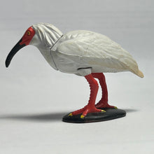 Cargar imagen en el visor de la galería, Crested Ibis - Trading Figure - Miniature (003)

