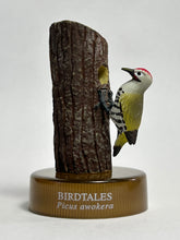 Load image into Gallery viewer, Japanese Green Woodpecker (Picus awokera) - Mini Figure - Bottle Cap
