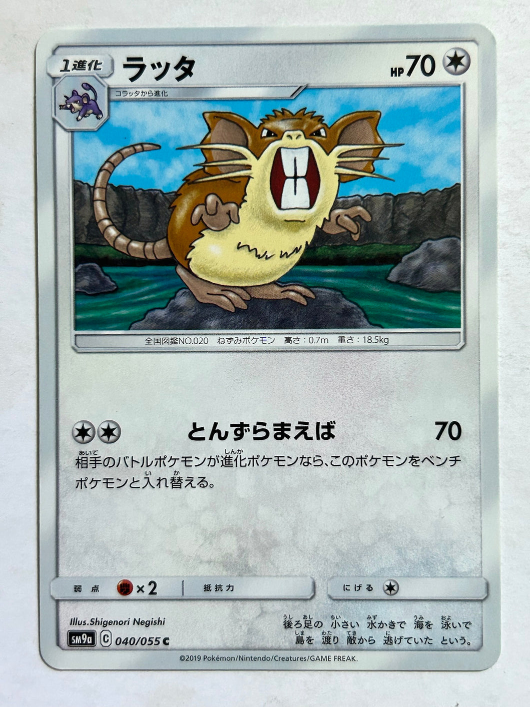 Pokémon Sun & Moon Night Unison - Raticate - SM9a 040/055 C - Common