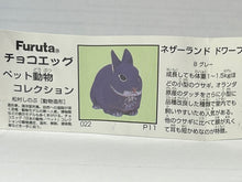 Cargar imagen en el visor de la galería, Netherland Dwarf rabbit - Trading Figure - Miniature - 022 P11-B
