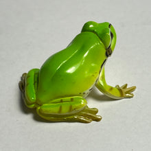 Load image into Gallery viewer, Japanese Tree Frog - Trading Figure - Miniature - 018C
