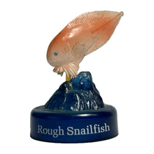 Cargar imagen en el visor de la galería, Rough Snailfish - Trading Figure - Miniature (9)
