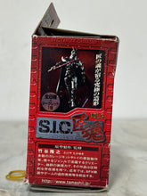 Cargar imagen en el visor de la galería, Kamen Rider - Kamen Rider Shin Ichigo - S.I.C. Takumi Damashii
