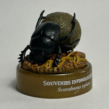 Load image into Gallery viewer, Sacred Scarab (Scarabaeus typhon) - Mini Figure - Bottle Cap
