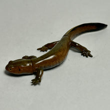 Load image into Gallery viewer, Kasumi Salamander - Trading Figure - Miniature (162)
