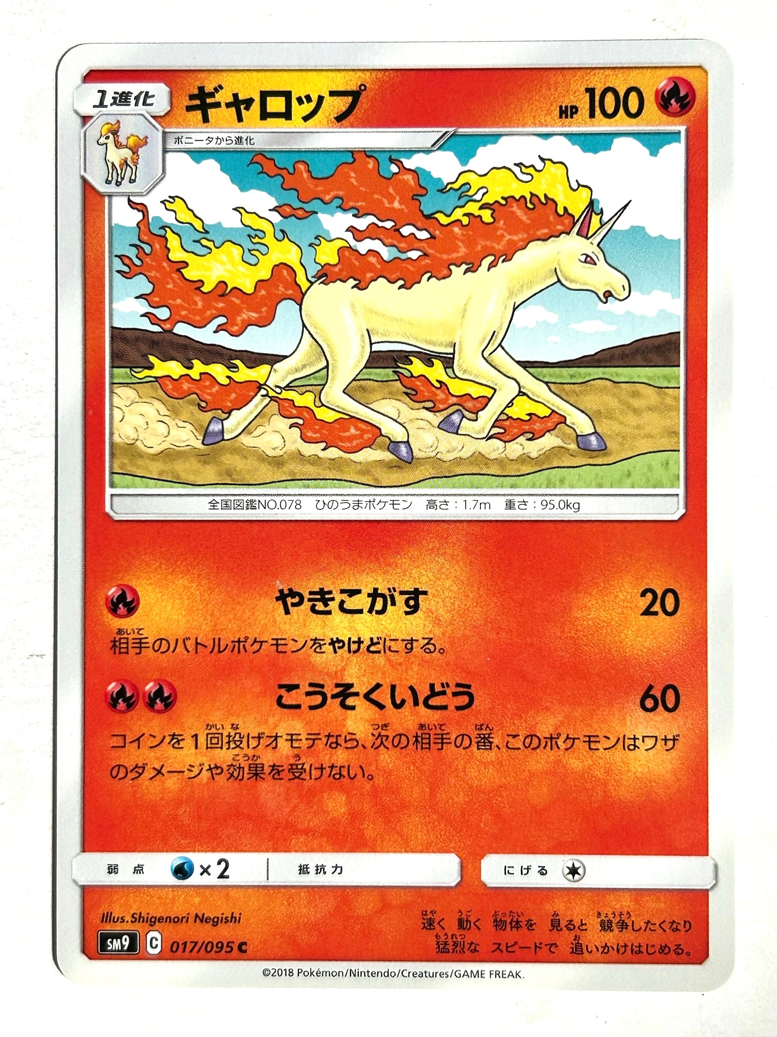 Pokémon (TCG) – Tagged 