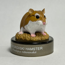 Load image into Gallery viewer, Roborovski Hamster - Figure - Bottle Cap (09)
