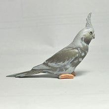 Load image into Gallery viewer, White-faced cockatiel - Trading Figure - Miniature - 78 P36C
