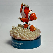Cargar imagen en el visor de la galería, Clownfish / Amphiprion ocellaris - Trading Figure - Miniature
