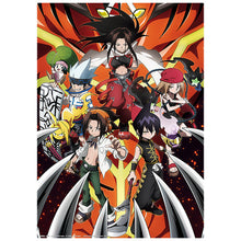 Cargar imagen en el visor de la galería, Shaman King - Illustration Board
