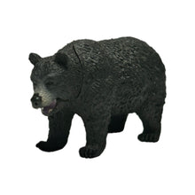 Load image into Gallery viewer, Wildlife of the World: Asia &amp; Oceania Edition (Set of 9)
