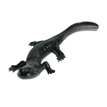 Cargar imagen en el visor de la galería, Odaigahara salamander - Trading Figure - Miniature (103)
