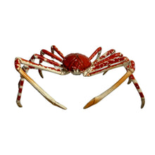 Cargar imagen en el visor de la galería, Spider crab - Trading Figure - Miniature - 155
