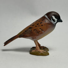 Cargar imagen en el visor de la galería, Tree Sparrow - Trading Figure - Miniature (167)
