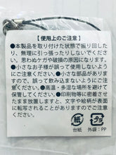 Cargar imagen en el visor de la galería, Diabolik Lovers - Sakamaki Subaru - Acrylic Strap - Charm - Extreme Cold
