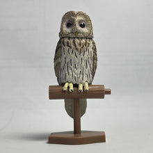 Cargar imagen en el visor de la galería, Owl / Strix Uralensis - Trading Figure - Miniature (4)
