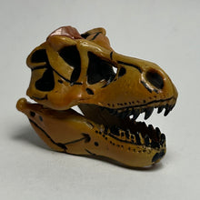 Cargar imagen en el visor de la galería, Tyrannosaurus - Trading Figure - Miniature (023)
