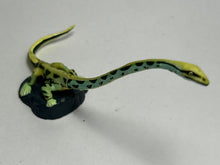 Cargar imagen en el visor de la galería, Tanystropheus - Trading Figure - Miniature (037)
