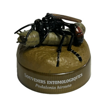 Load image into Gallery viewer, Wasp (Podalonia hirsuta) - Mini Figure - Bottle Cap

