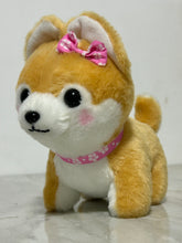 Load image into Gallery viewer, Mameshiba Sankyoudai - Sasuke - Plush Toy
