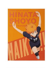 Load image into Gallery viewer, Gekijouban Haikyuu!! Final - Hinata Shouyou - Clear Poster (Prize F)
