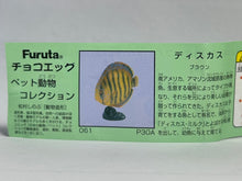 Cargar imagen en el visor de la galería, Discus (fish) - Trading Figure - Miniature - 061 P30-A
