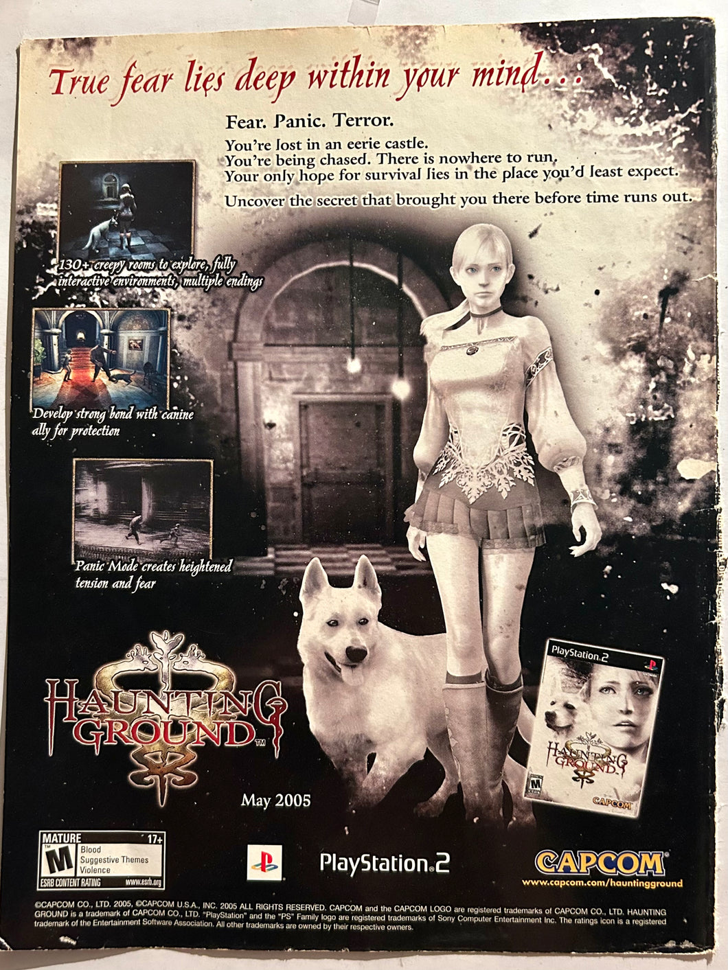 Haunting Ground - PS2 - Original Vintage Advertisement - Print Ads - Laminated A4 Poster