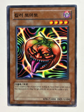 Load image into Gallery viewer, Yu-Gi-Oh! - YSD3-KR017 [N]: Mystic Tomato - TCG
