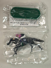 Load image into Gallery viewer, JRA Famouse Horse Legend - No. 6 Biwa Hayahide
