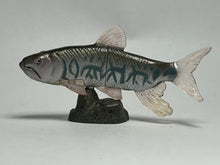 Cargar imagen en el visor de la galería, Opsariichthys uncirostris - Trading Figure - Miniature (157)
