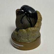 Load image into Gallery viewer, Sacred Scarab and Dung Ball (Scarabaeus typhon) - Mini Figure - Bottle Cap
