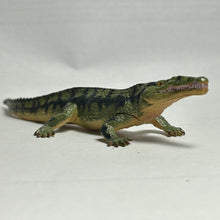 Cargar imagen en el visor de la galería, Rutiodon - Trading Figure - Miniature (062)
